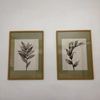 Kit 2 quadros botânicos Deux Floral 50x70 com moldura caixinha. Arte vintage elegante, impressão premium e opção com/sem vidro. Para salas e quartos.