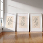 Kit 3 Quadros Douceur com moldura em madeira imunizada e impressão HD. Arte botânica clean e sofisticada para salas, quartos e home office.