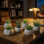 Kit 6 Vasos Raffiné em gesso com acabamento fosco e design contemporâneo. Conjunto versátil e elegante para suculentas, estantes e escritórios. Envio imediato.