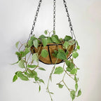 Vaso suspenso ecológico em fibra de coco com suporte de ferro e corrente. Ideal para jardins verticais, oferece ótima drenagem e aeração para suas plantas.