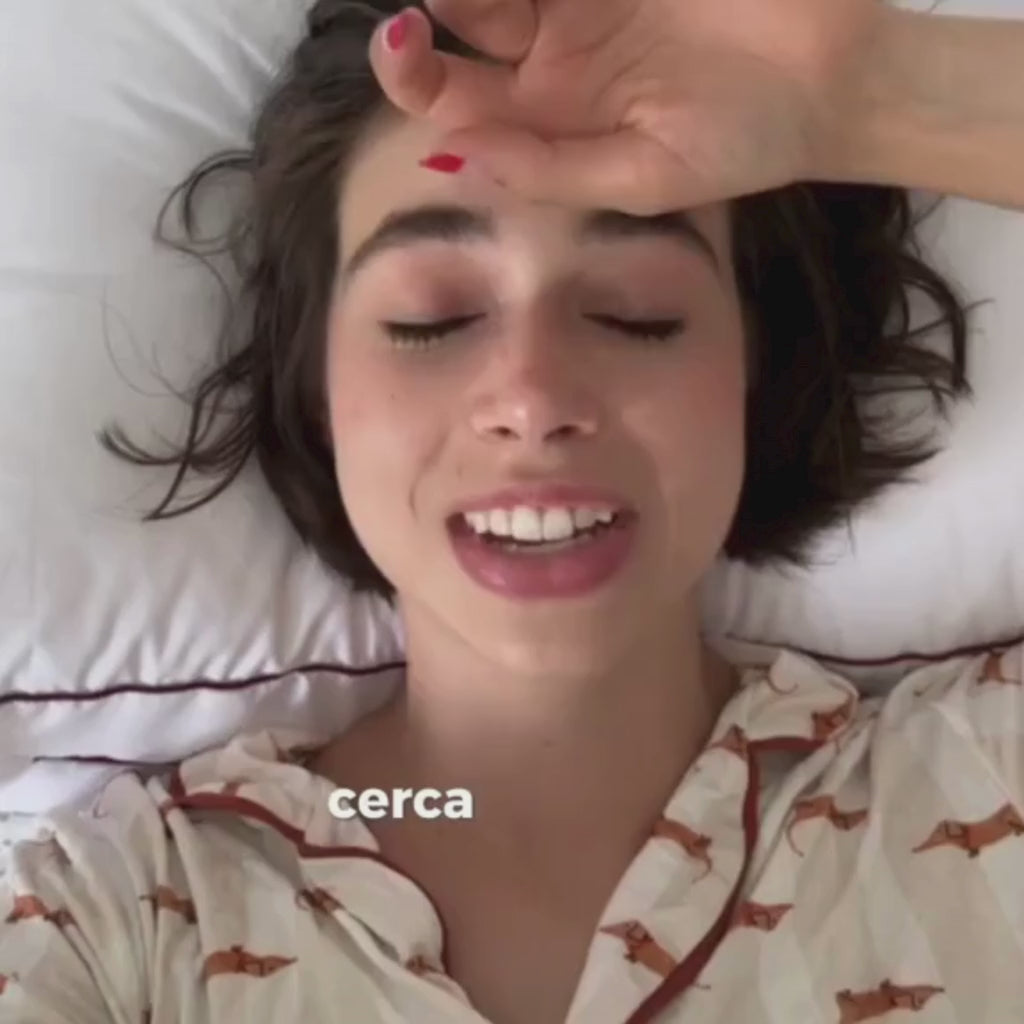 Travesseiro Europeu Coleção Best Pillow, https://louhir.com.br/